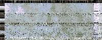 NOAA Satellitenbild vom 25.12.2009 - 17:03:22