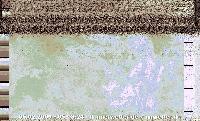 NOAA Satellitenbild vom 25.12.2009 - 12:49:06
